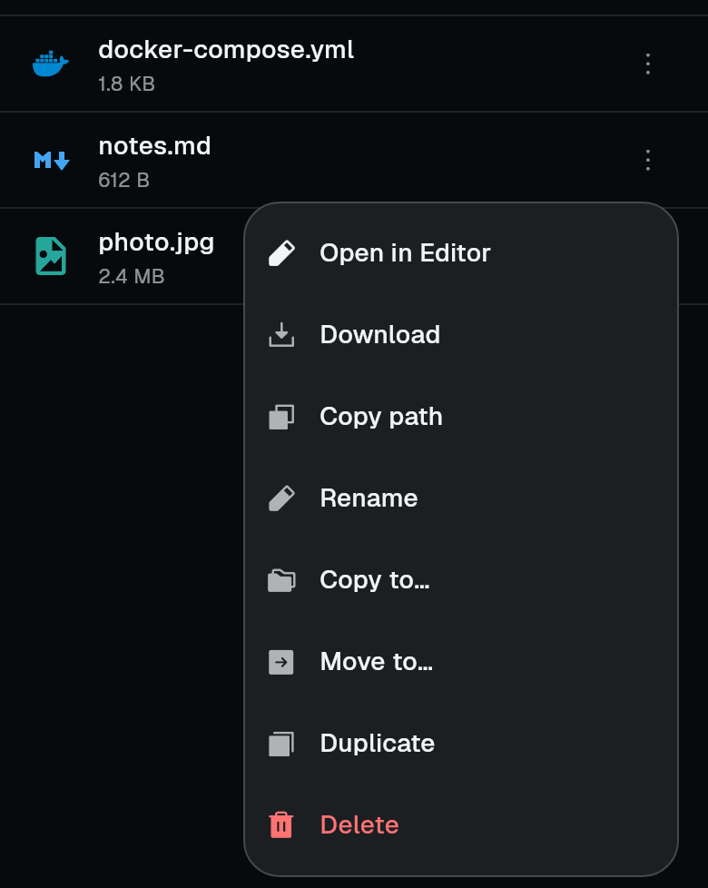 The file menu with Copy to, Move to and Duplicate
