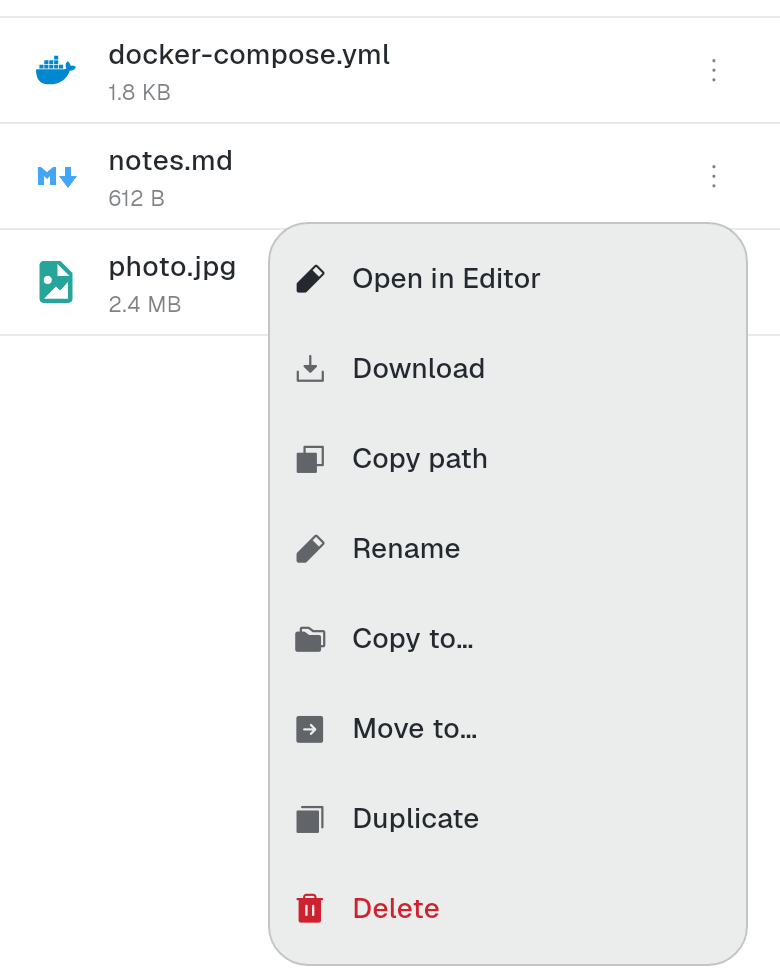 The file menu with Copy to, Move to and Duplicate