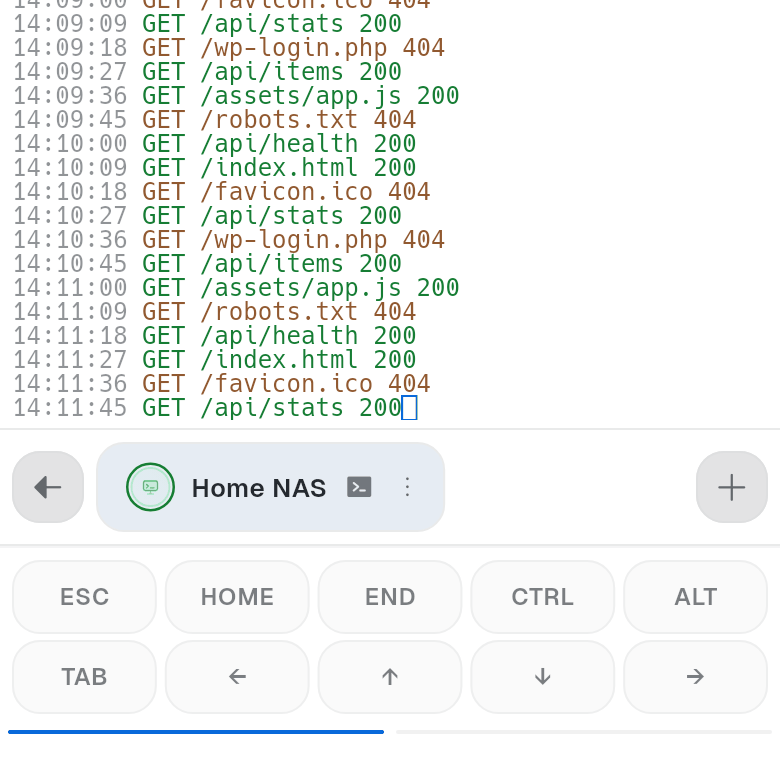 Session tabs at the bottom, above the key toolbar
