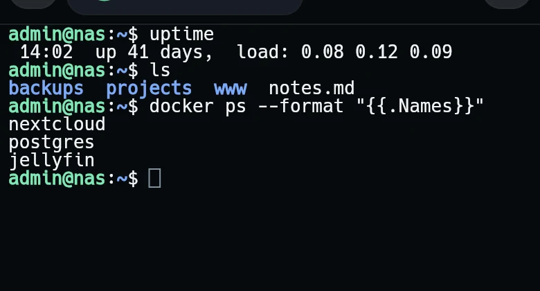 Autocomplete suggesting a command as it is typed