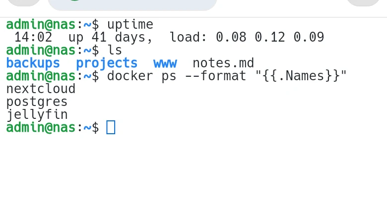 Autocomplete suggesting a command as it is typed