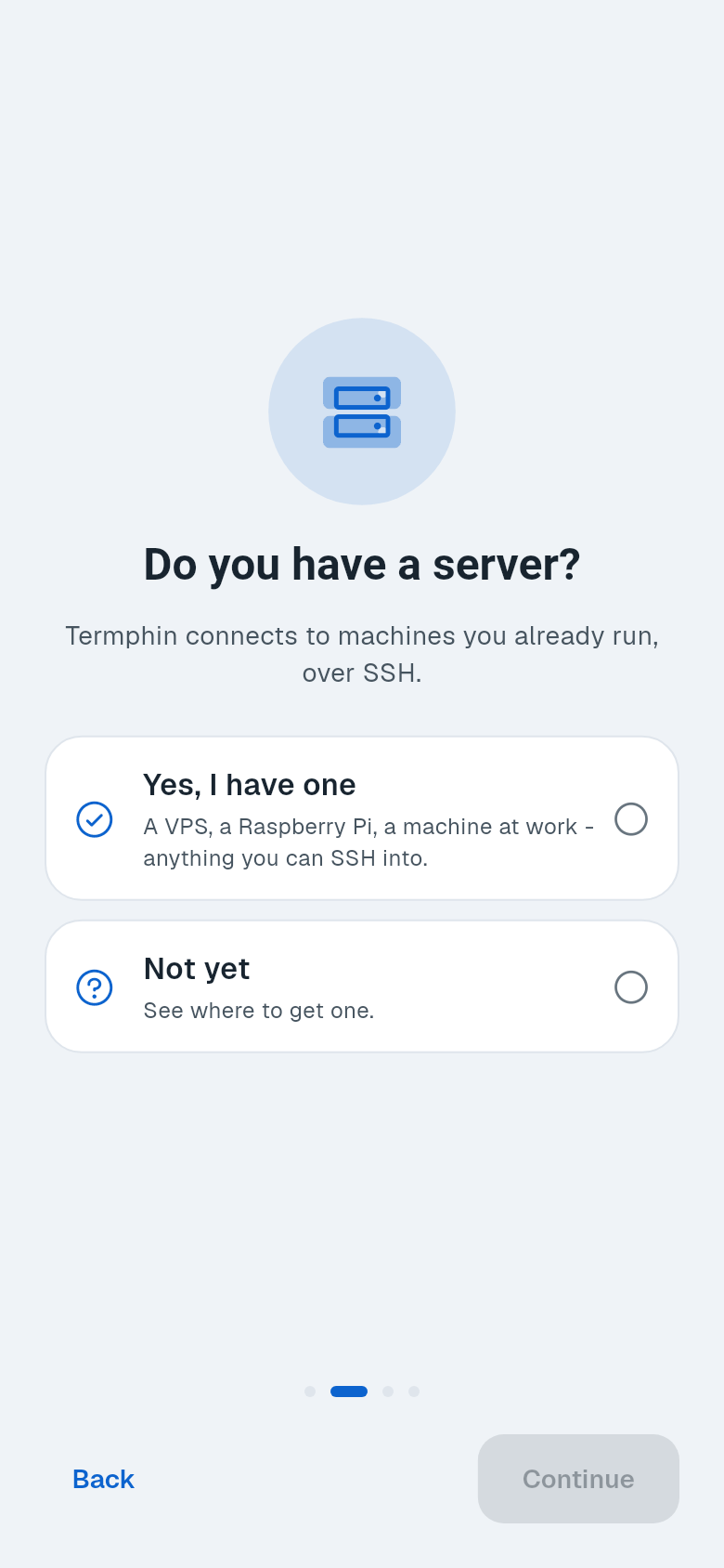 The first run asking whether you have a server