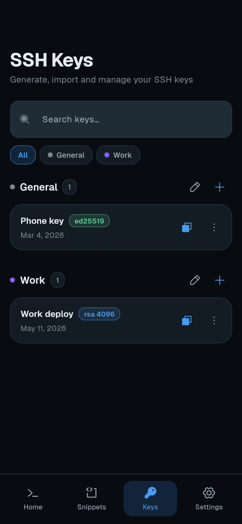 SSH Keys tab with keys grouped and copy buttons