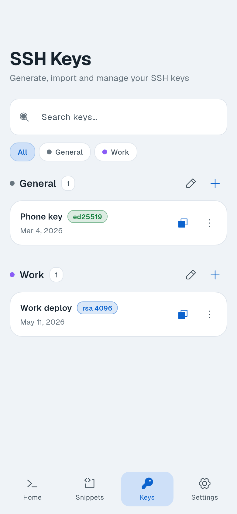 SSH Keys tab with keys grouped and copy buttons