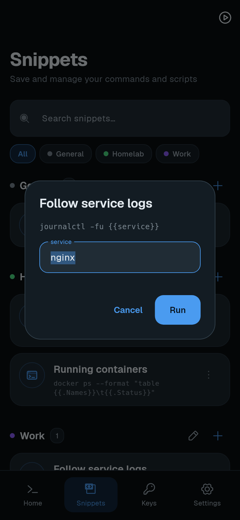 Argument dialog for Follow service logs with the service field and Run