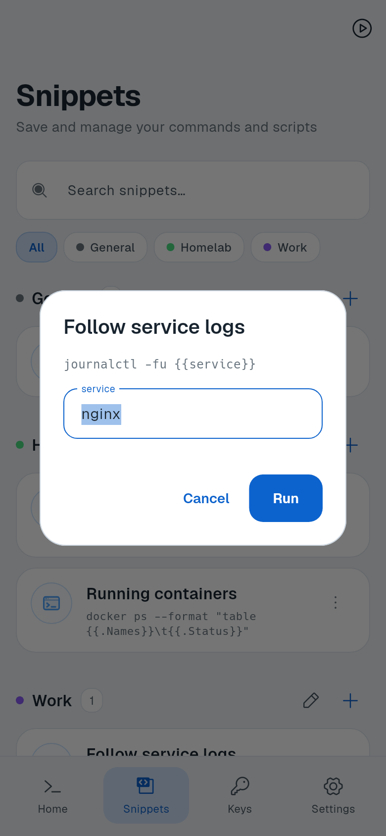 Argument dialog for Follow service logs with the service field and Run