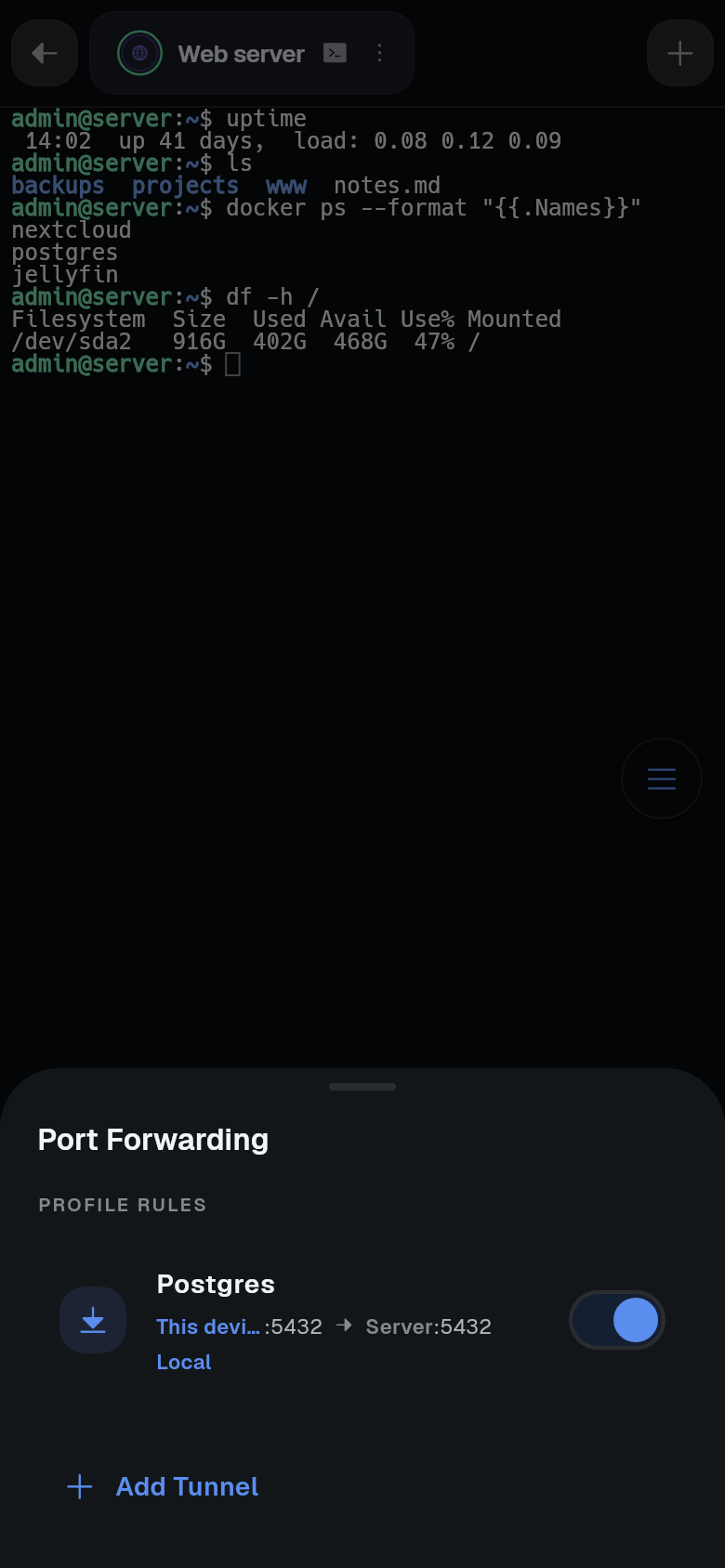 The Port Forwarding sheet in a session, with a Postgres rule switched on and an Add Tunnel button