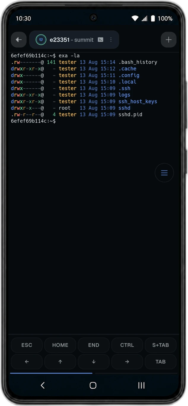 Termphin running htop over SSH